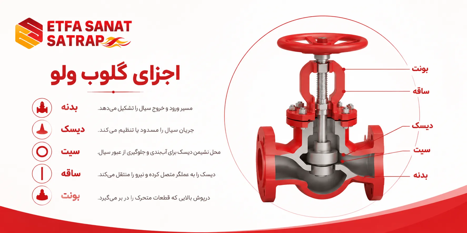 اجزای گلوب ولو اجزای گلوب ولو